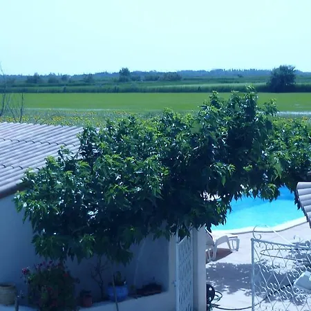 Soleil De Camargue Villa Arles Room photo