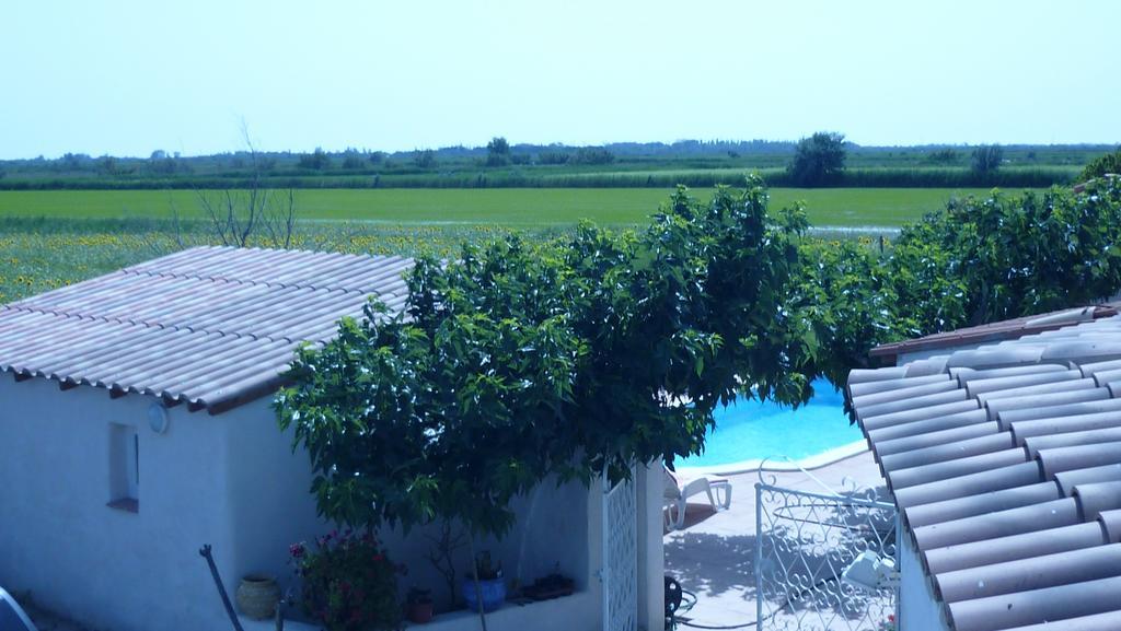 Soleil De Camargue *